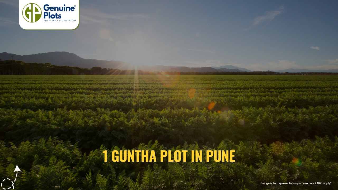 1 Guntha plot in Pune